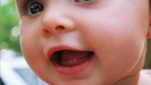 gallery toddlers photo